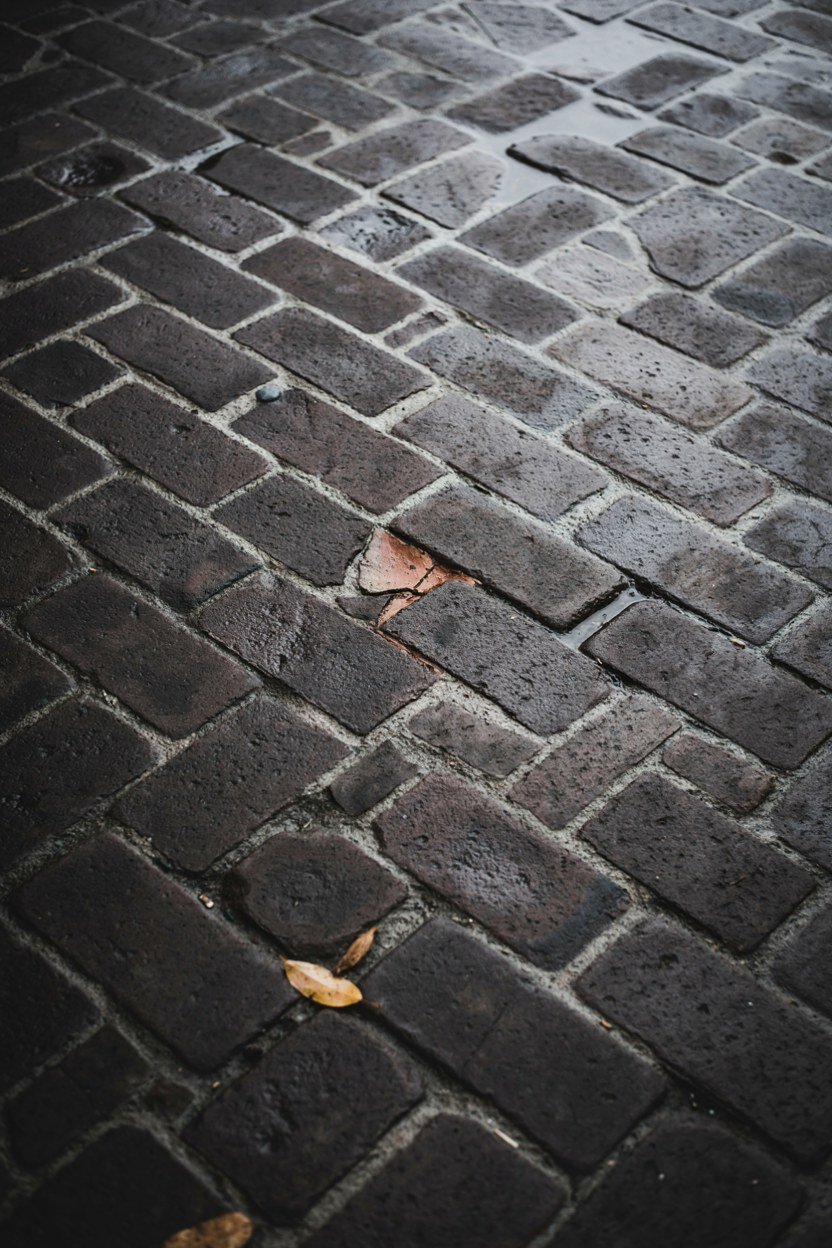 Dark clay pavers laid in herringbone and wet from rain