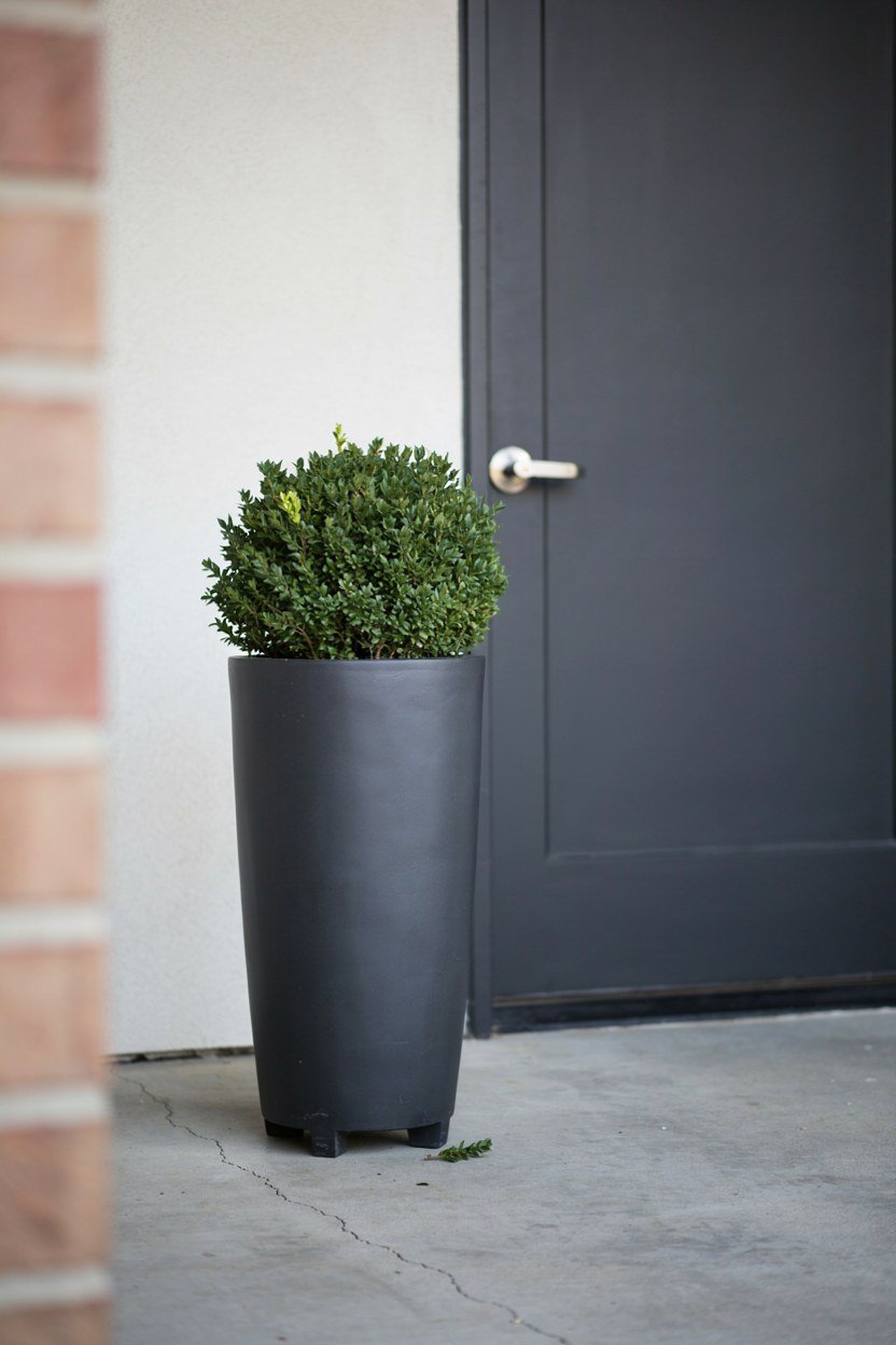 One tall planter standing beside a dark front door
